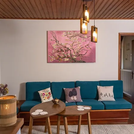 μορχέλα, ολόκληρο σπίτι! Mega Chorio